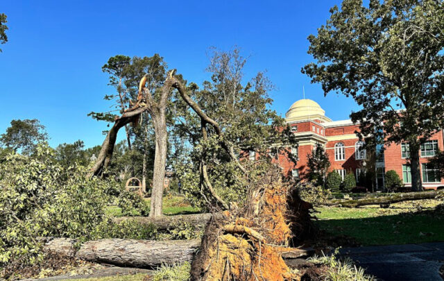 Hurricane Helene damage