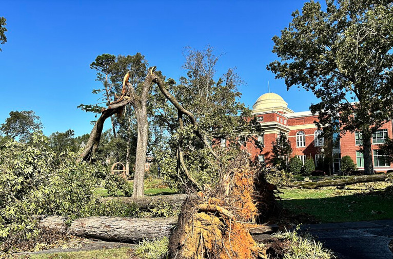 Hurricane Helene damage