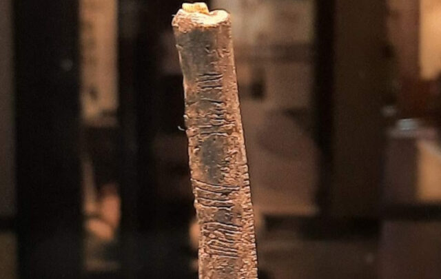 Ishango bone