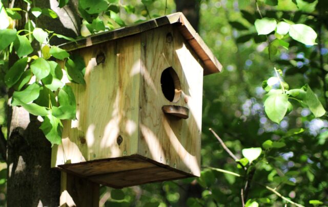 Little Birdhouse