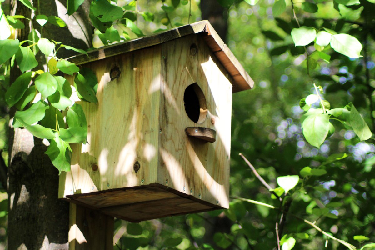 Little Birdhouse