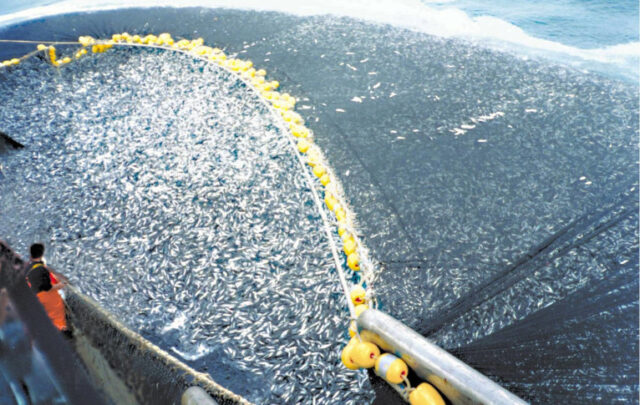 overfishing