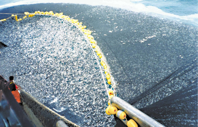 overfishing