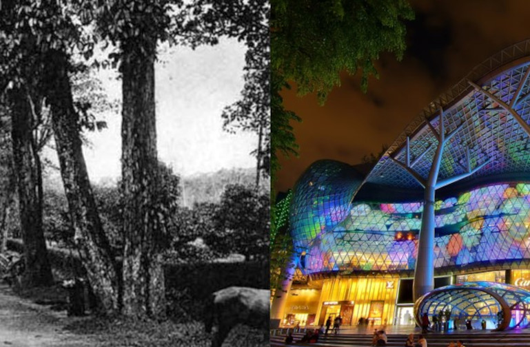 Orchard Road before and after