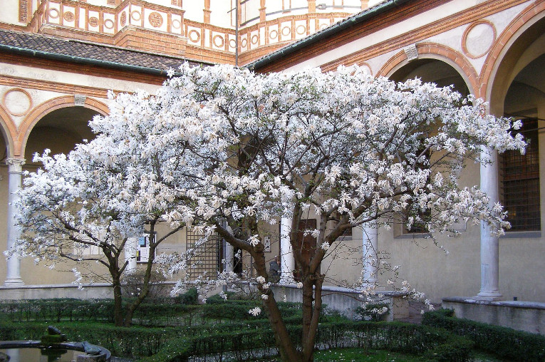 View of Milan