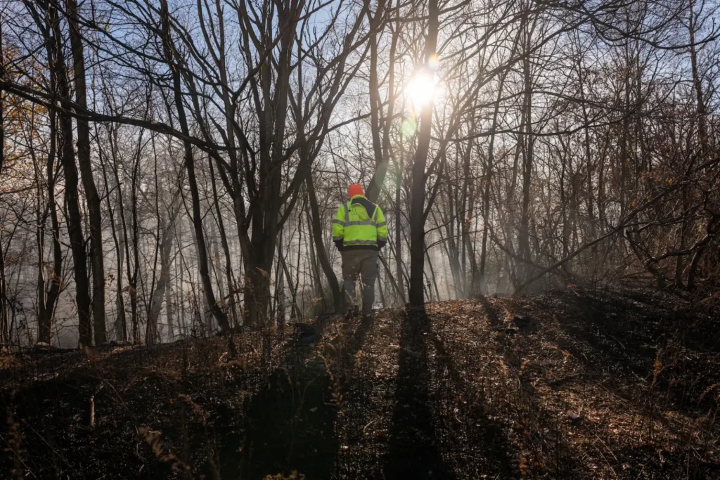 New Jersey brush fire