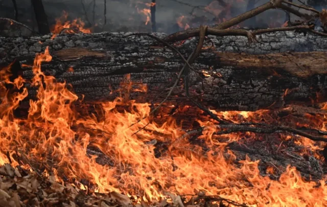 New York drought fire