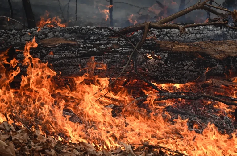 New York drought fire