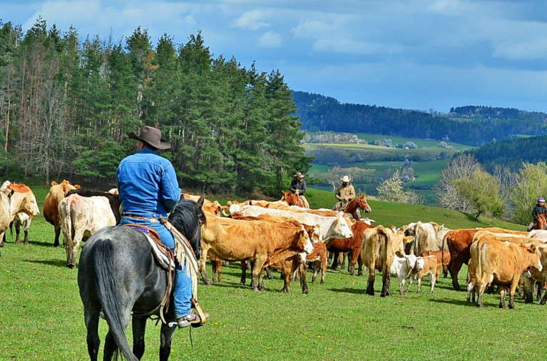 Terezie Daňková on her farm.