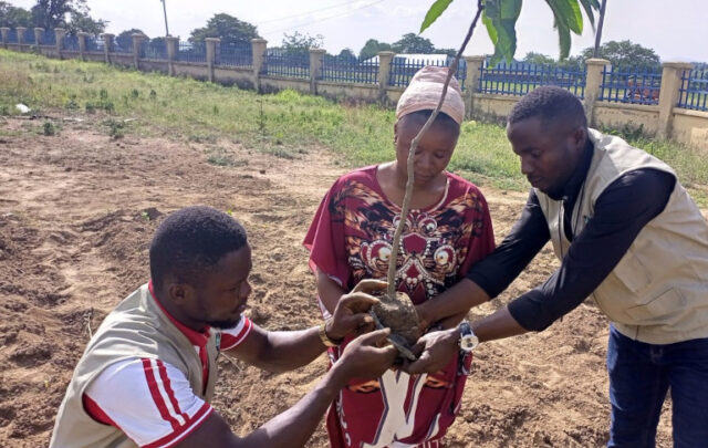 Tree planting in Nigeria