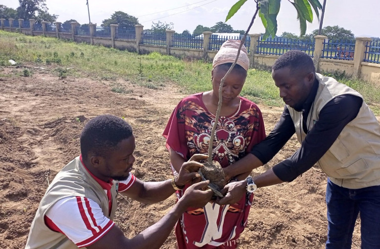 Tree planting in Nigeria