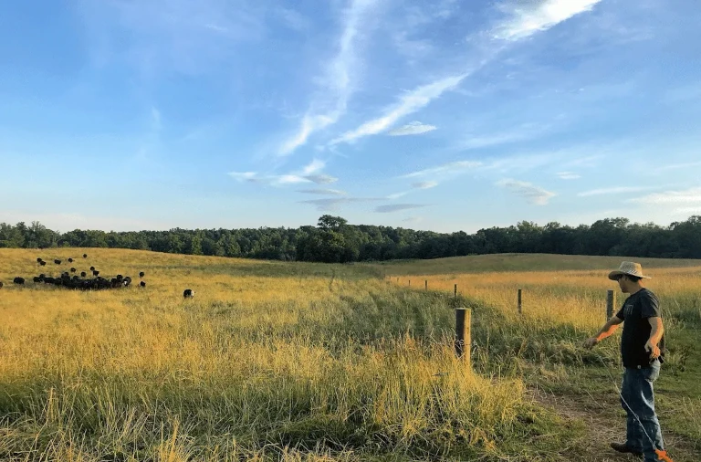 Dustin Watson calling cattle