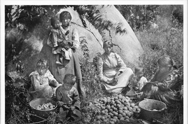 Yokut tribal members processing peaches