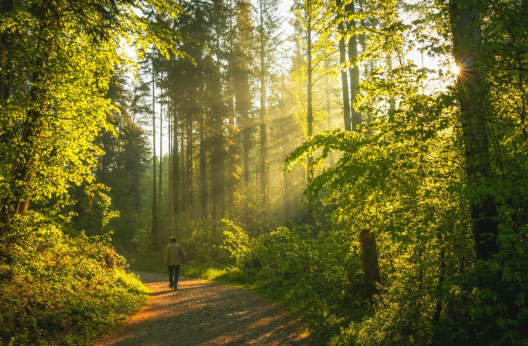 Beyond Growth: The promise of a wellbeing economy