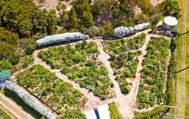 community garden