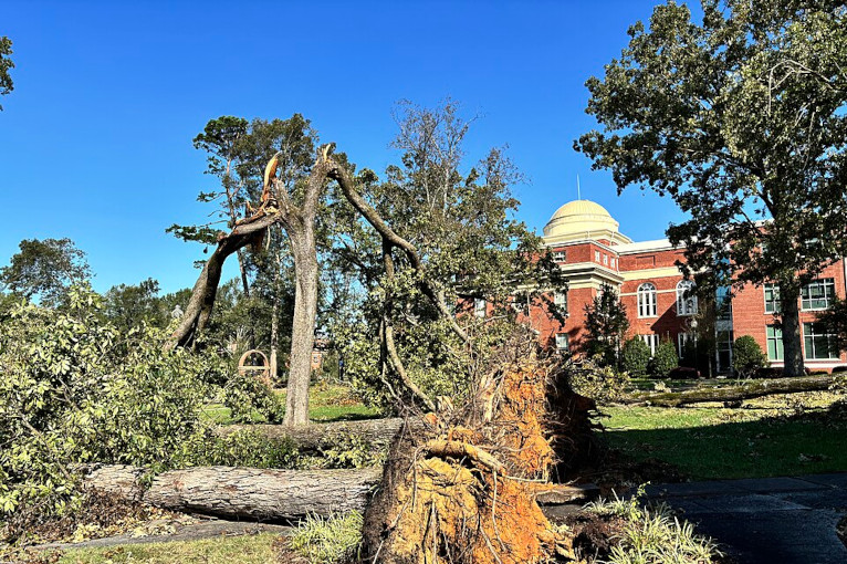 Hurricane Helene damage in South Carolina